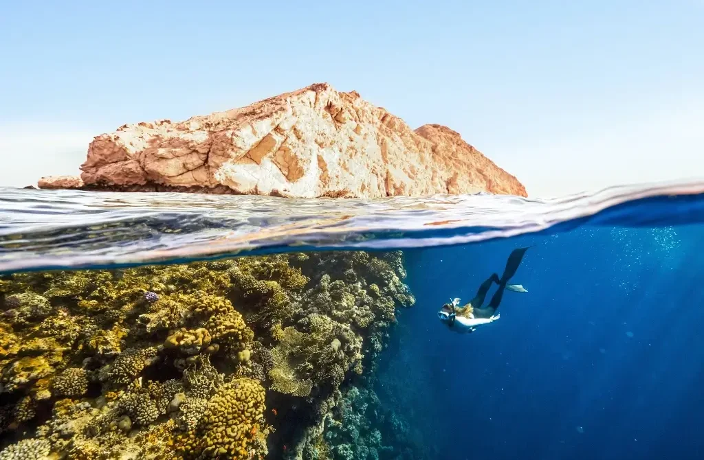 Top 5 Dive Spots You Should Explore This Year